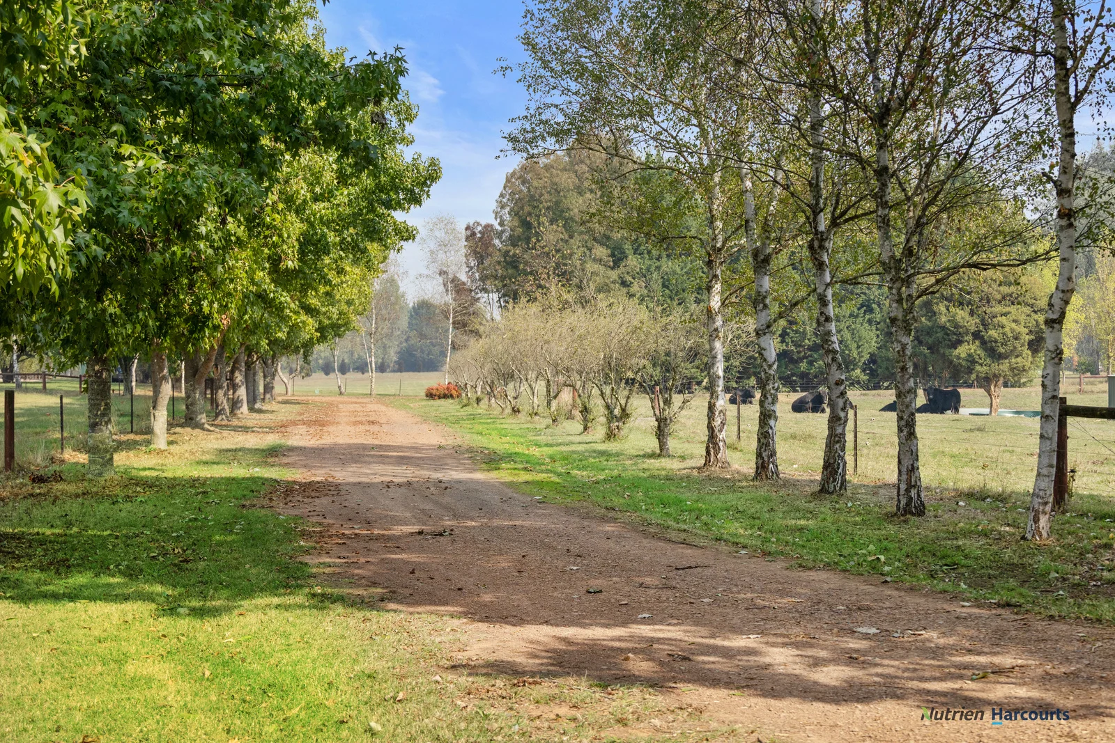 Additional image 17 of 614 Goulburn Valley Highway, Thornton VIC 3712