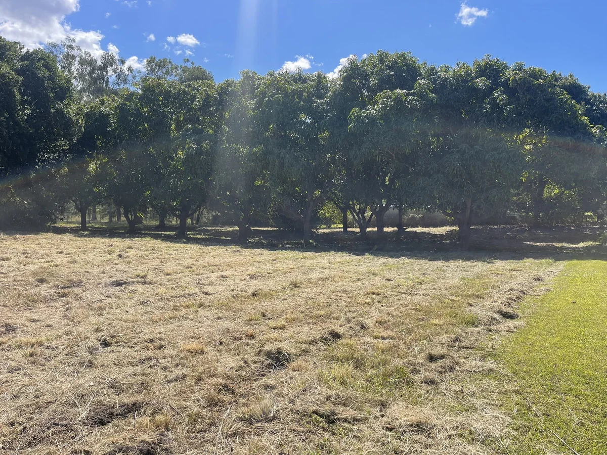 Additional image 5 of 25 Rieck Street, Gin Gin QLD 4671