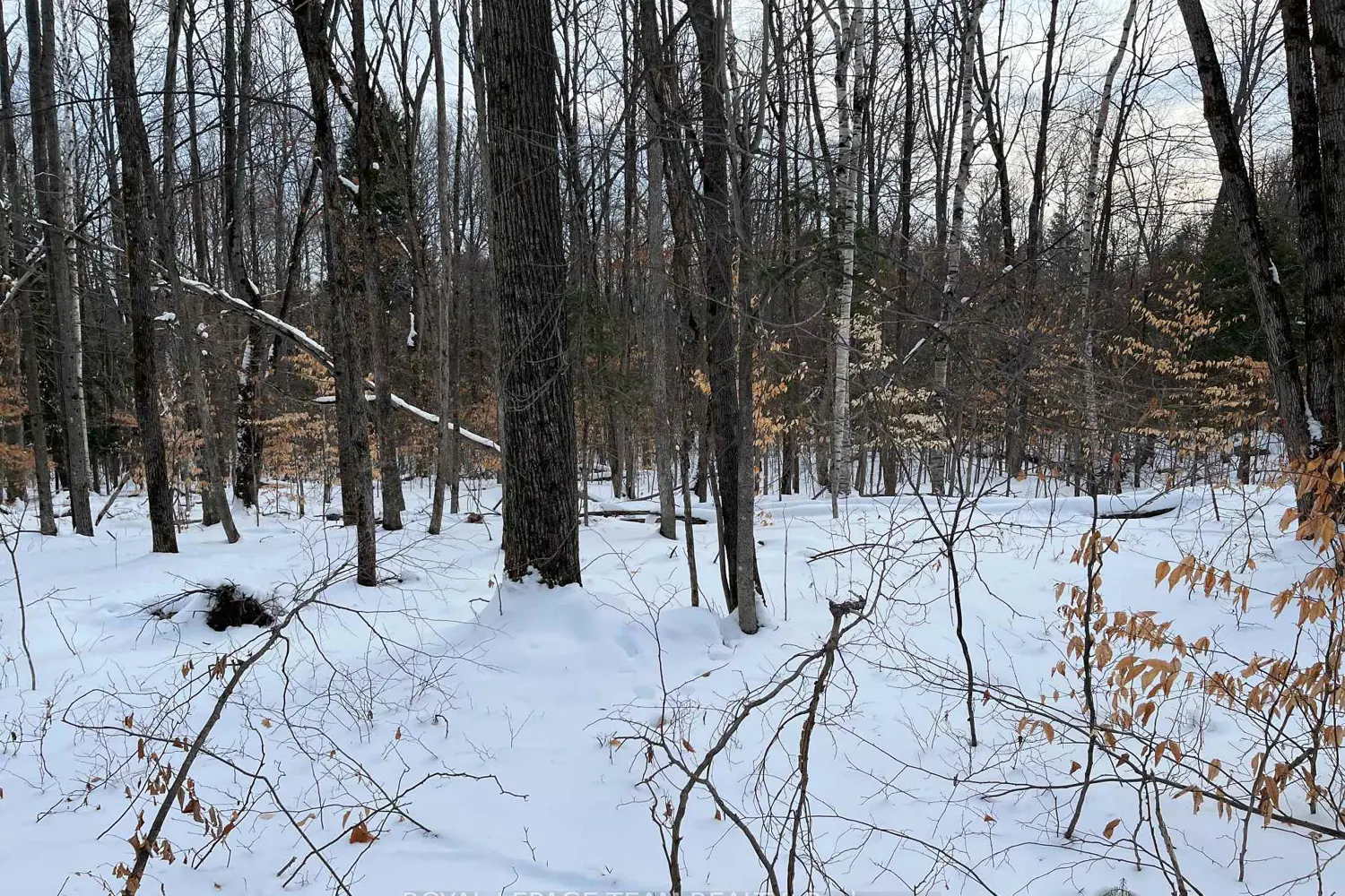 Additional image 6 of 01 Siberia Road