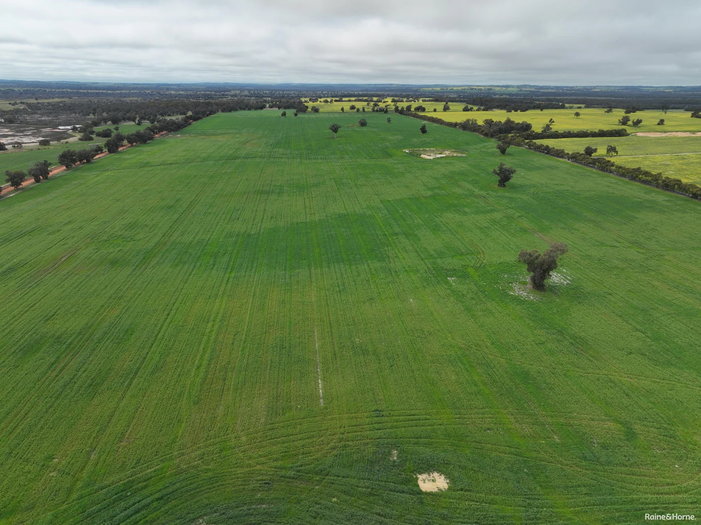 Additional image 24 of 124 Highbury East Road, Highbury WA 6313