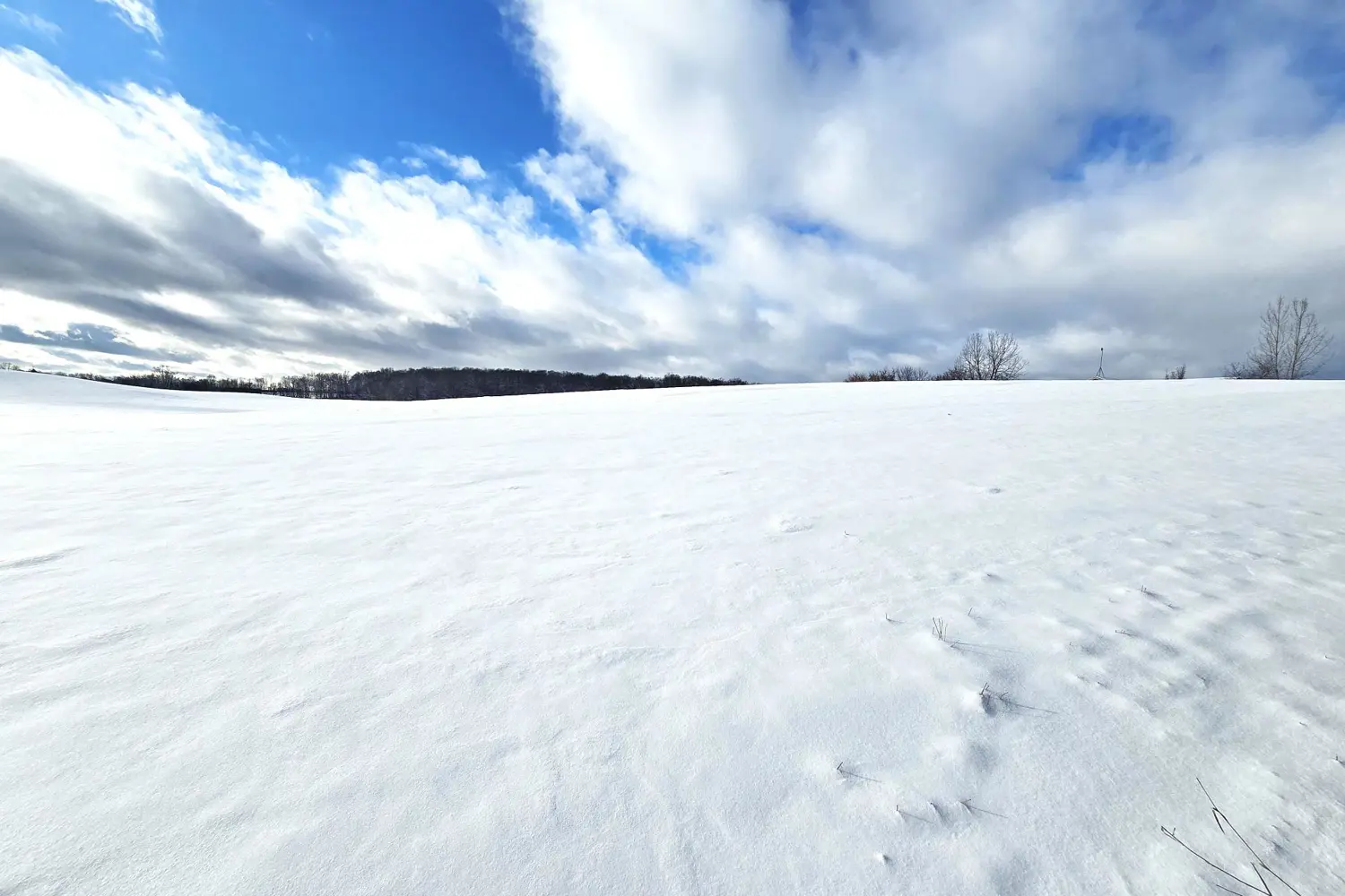 Additional image 14 of 0 Willet Road