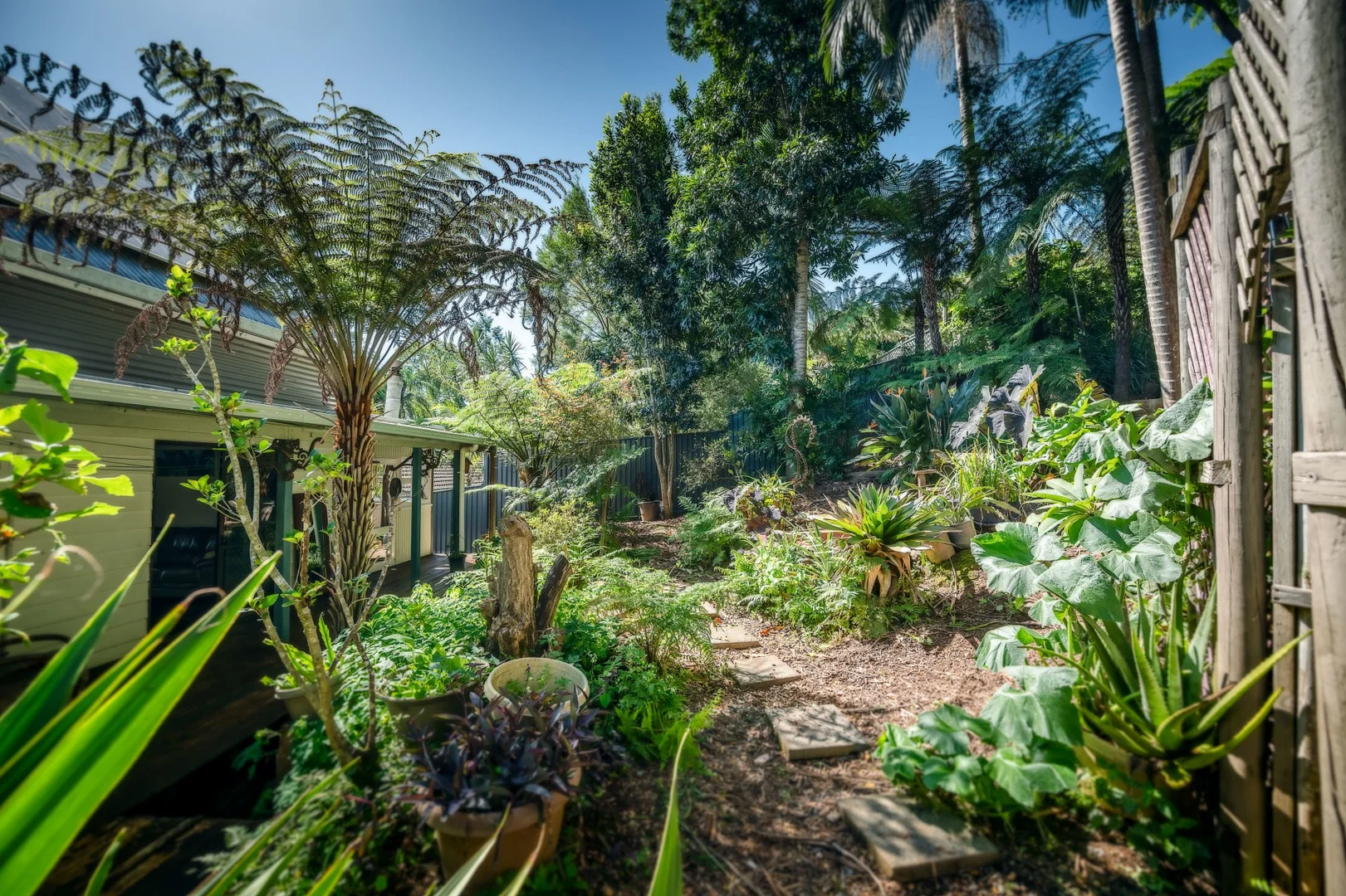 Additional image 19 of 17 Lyon Street, Bellingen NSW 2454