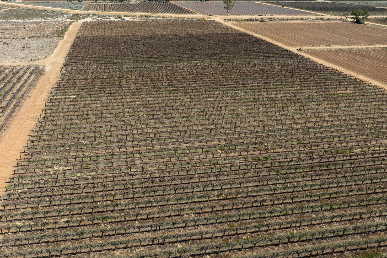 Additional image 34 of 229 Morgan Road, Cobdogla SA 5346