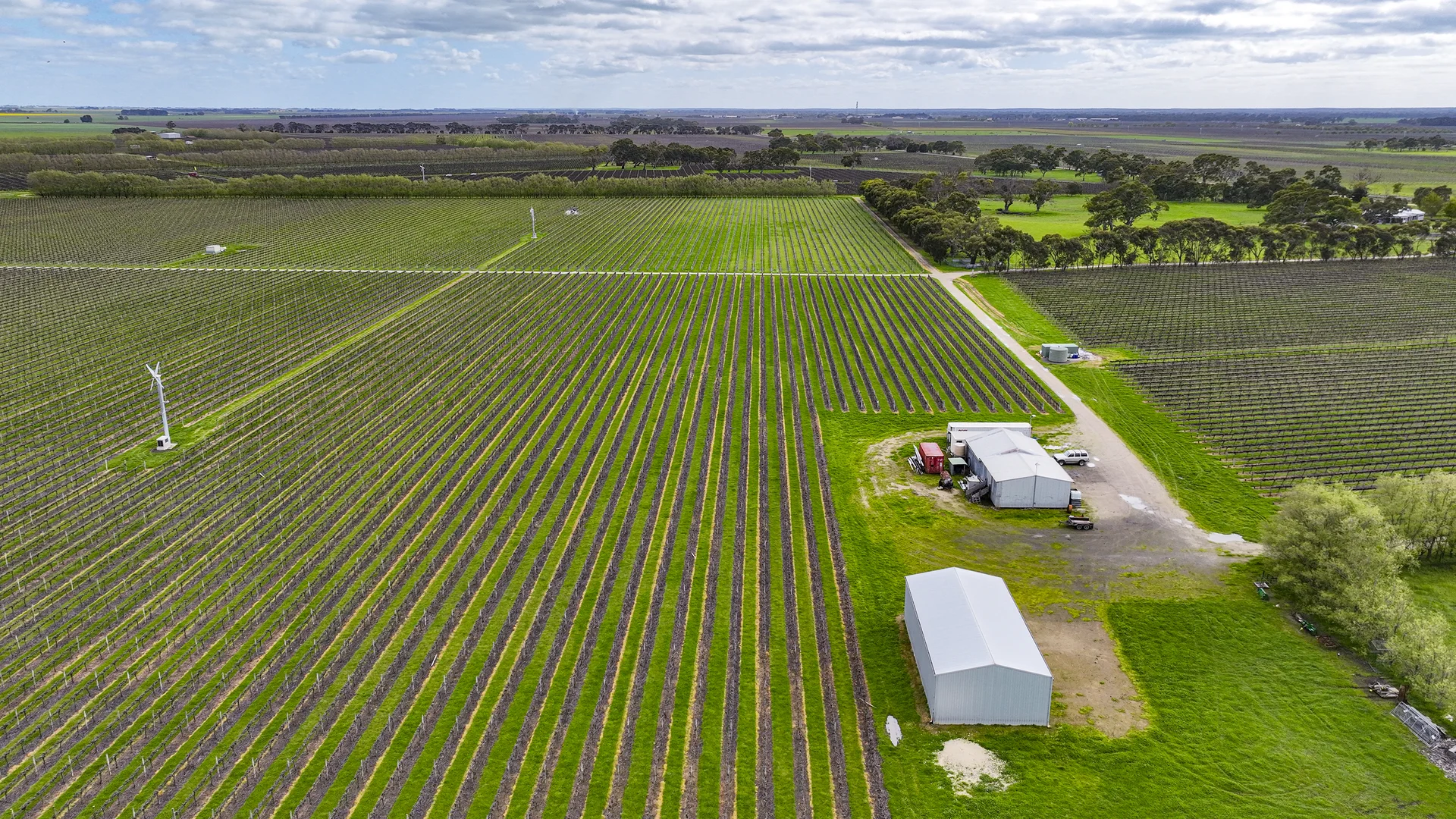 Additional image 6 of LOT 102, Bond Road, Penola SA 5277