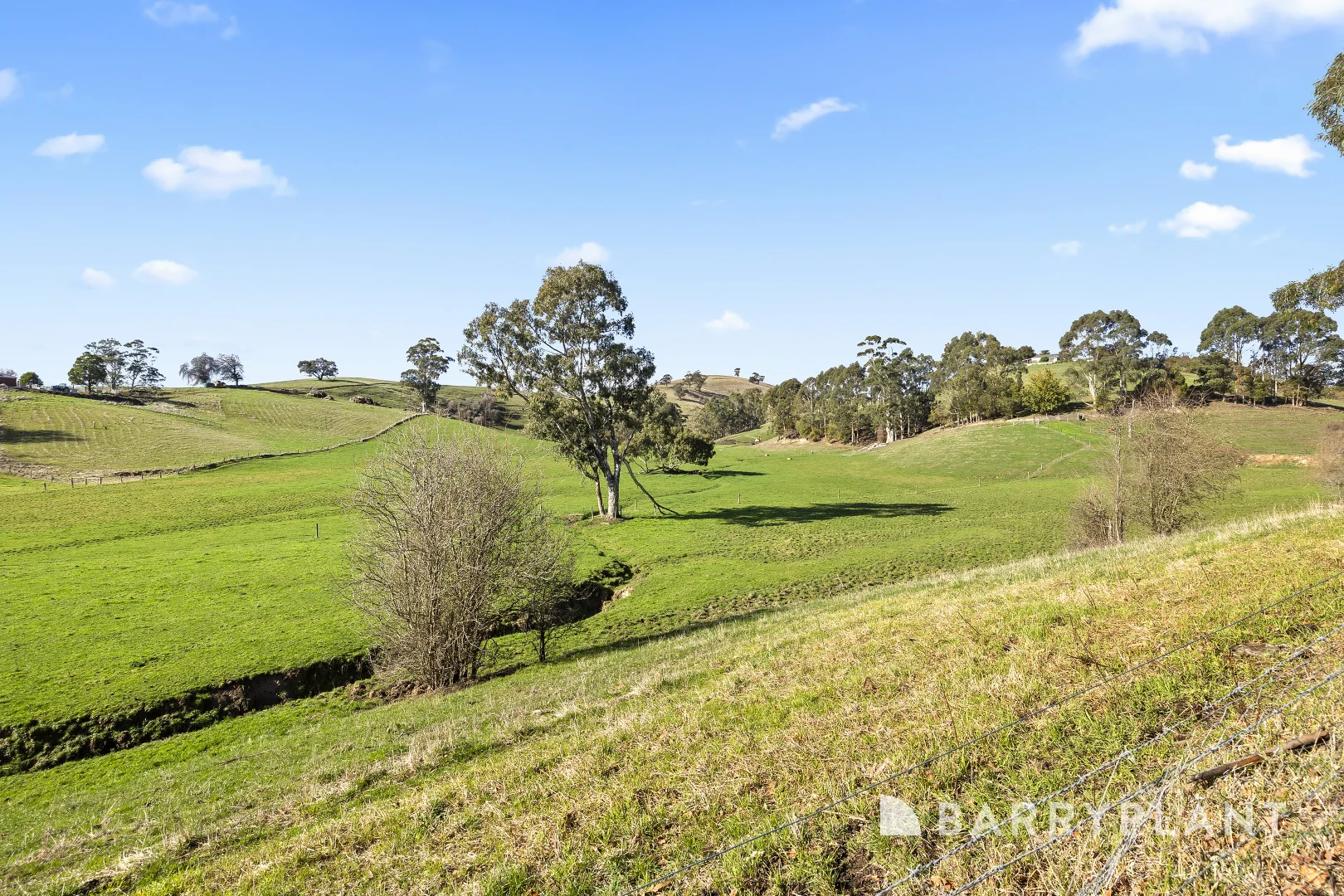 Additional image 16 of 7 Dudley Lane, Poowong East VIC 3988