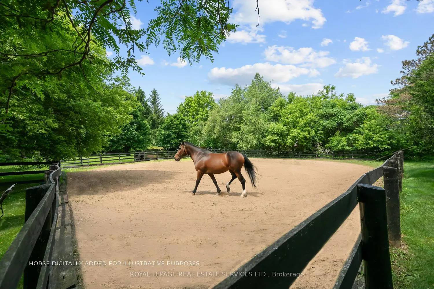 Additional image 20 of 2315 8 Sideroad