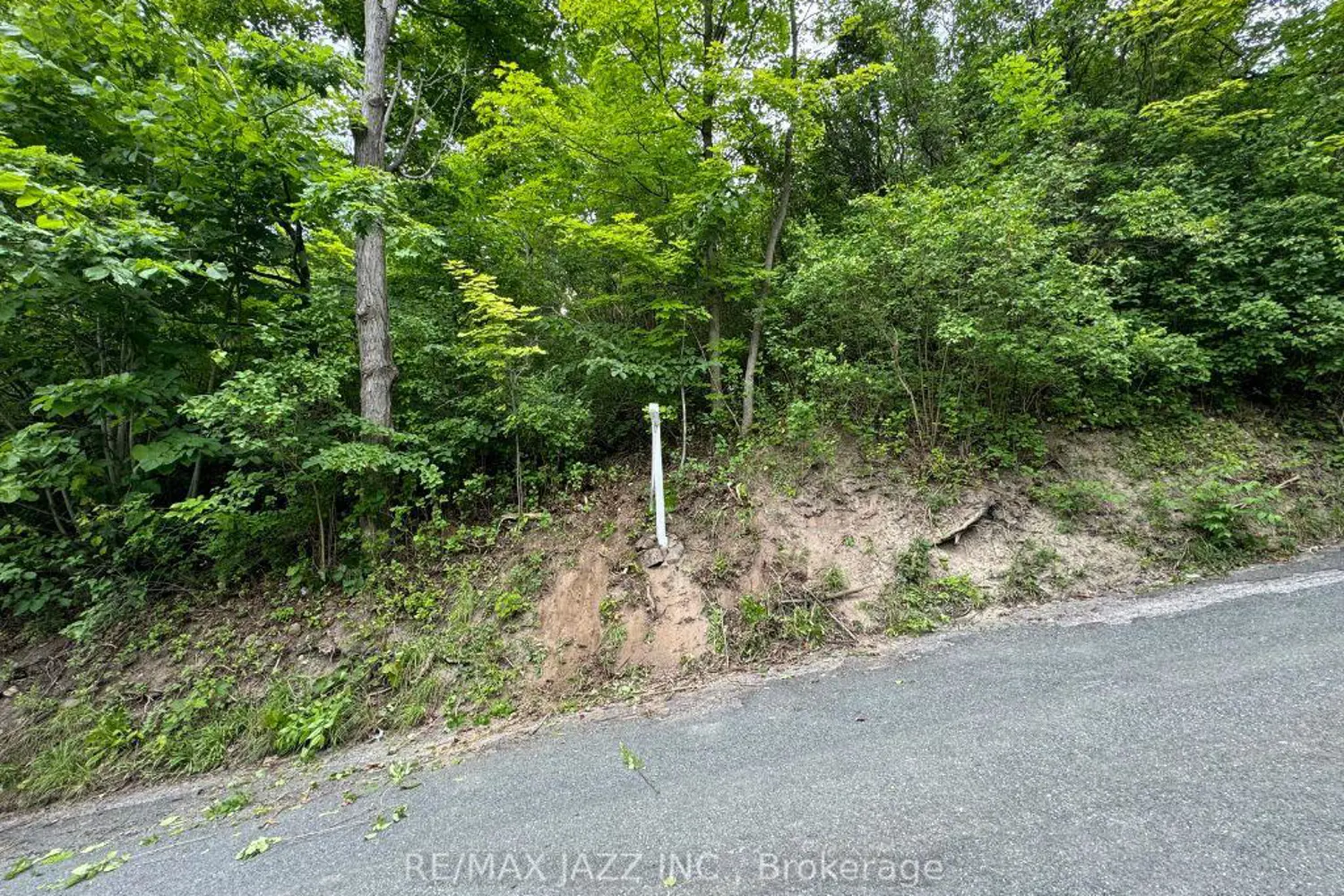 Additional image 8 of 0 Maple Street