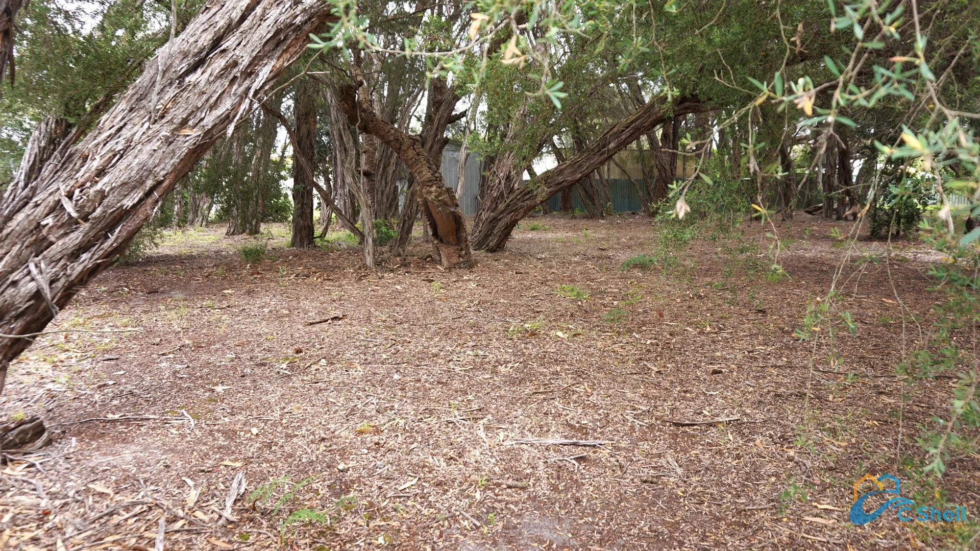 Additional image 7 of 25 Carroll Street, Loch Sport VIC 3851