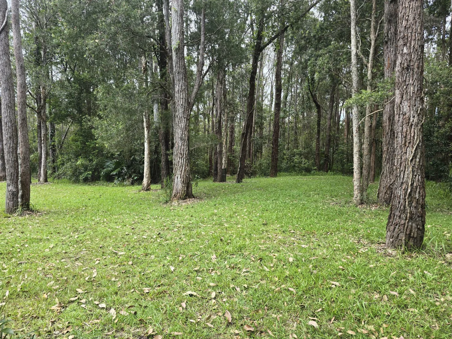 Additional image 24 of 145-159 Archville Station Rd, Bonville NSW 2450