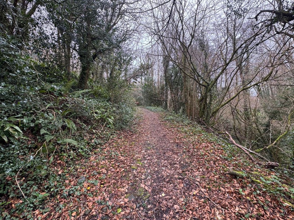 Additional image 5 of Land for saleSouth Tawton, Okehampton, Devon EX20