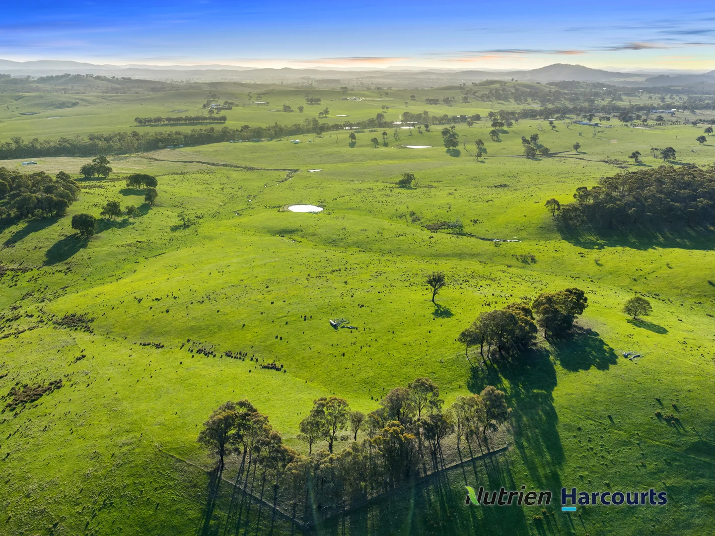 Additional image 18 of 250 Daisyburn Road, Hilldene VIC 3660