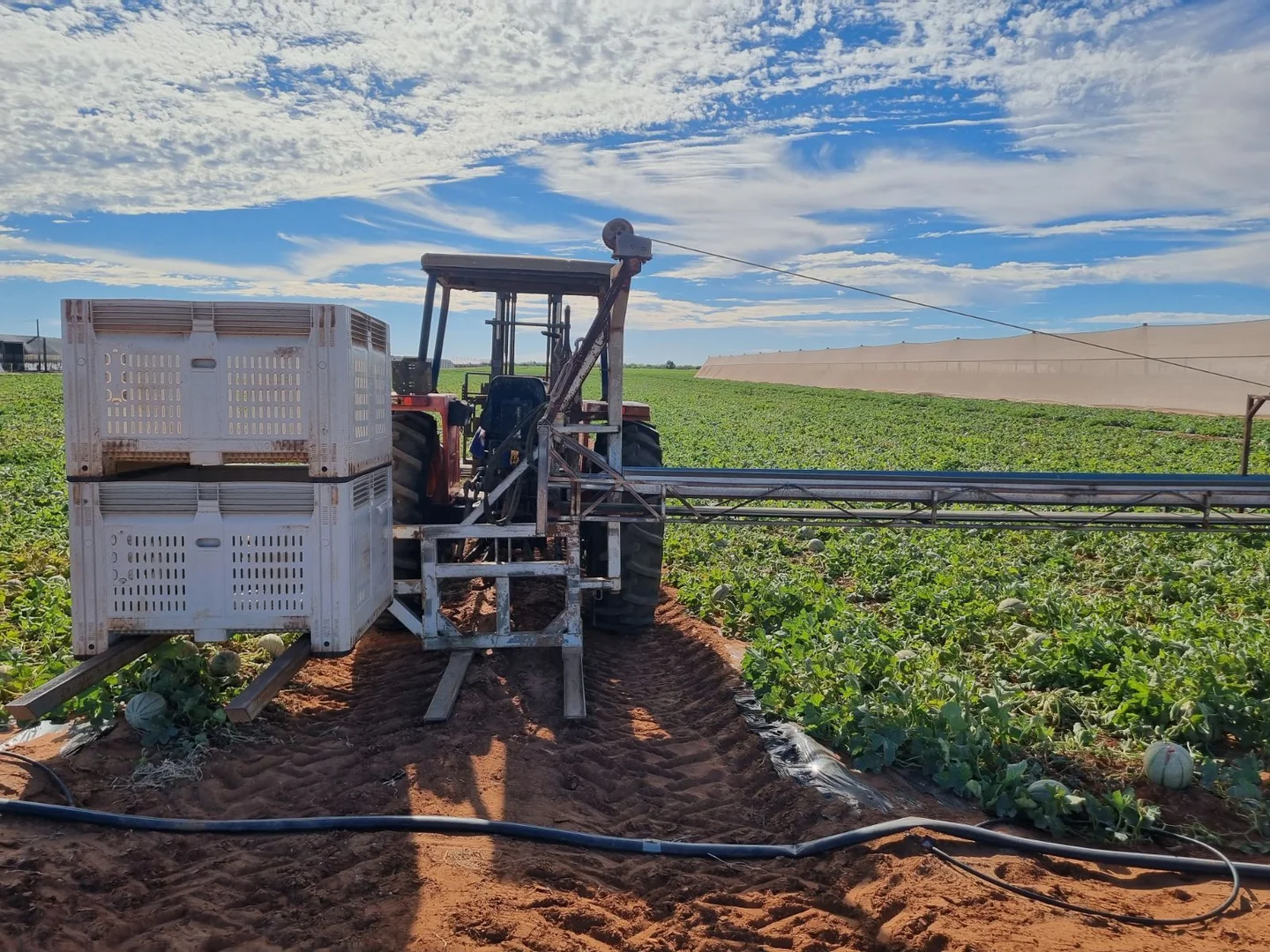 Additional image 4 of 138 North River Road, North Plantations WA 6701