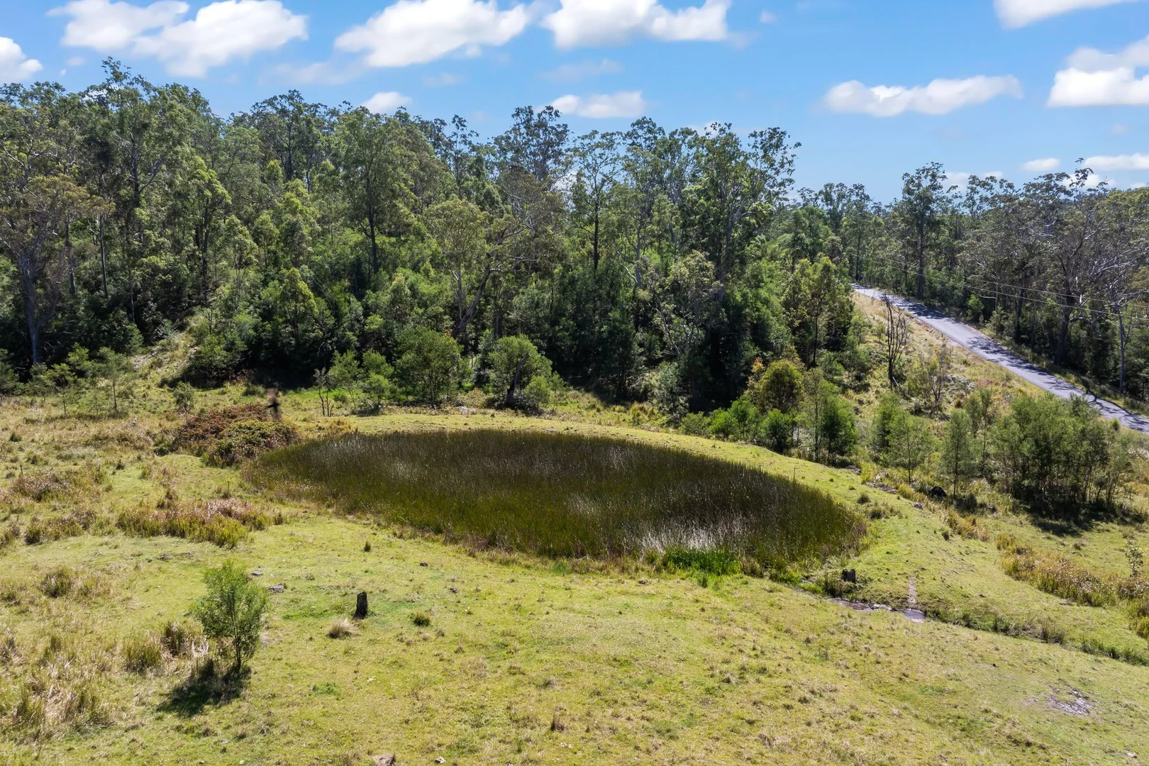 97 Long Gully Road, Drake NSW 2469