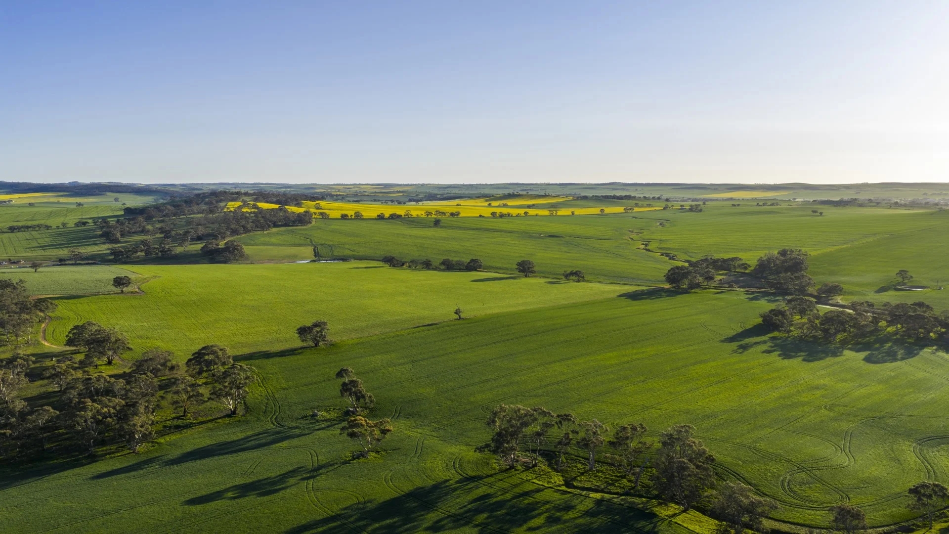 Additional image 26 of 829 Anlaby Road, Hamilton SA 5373