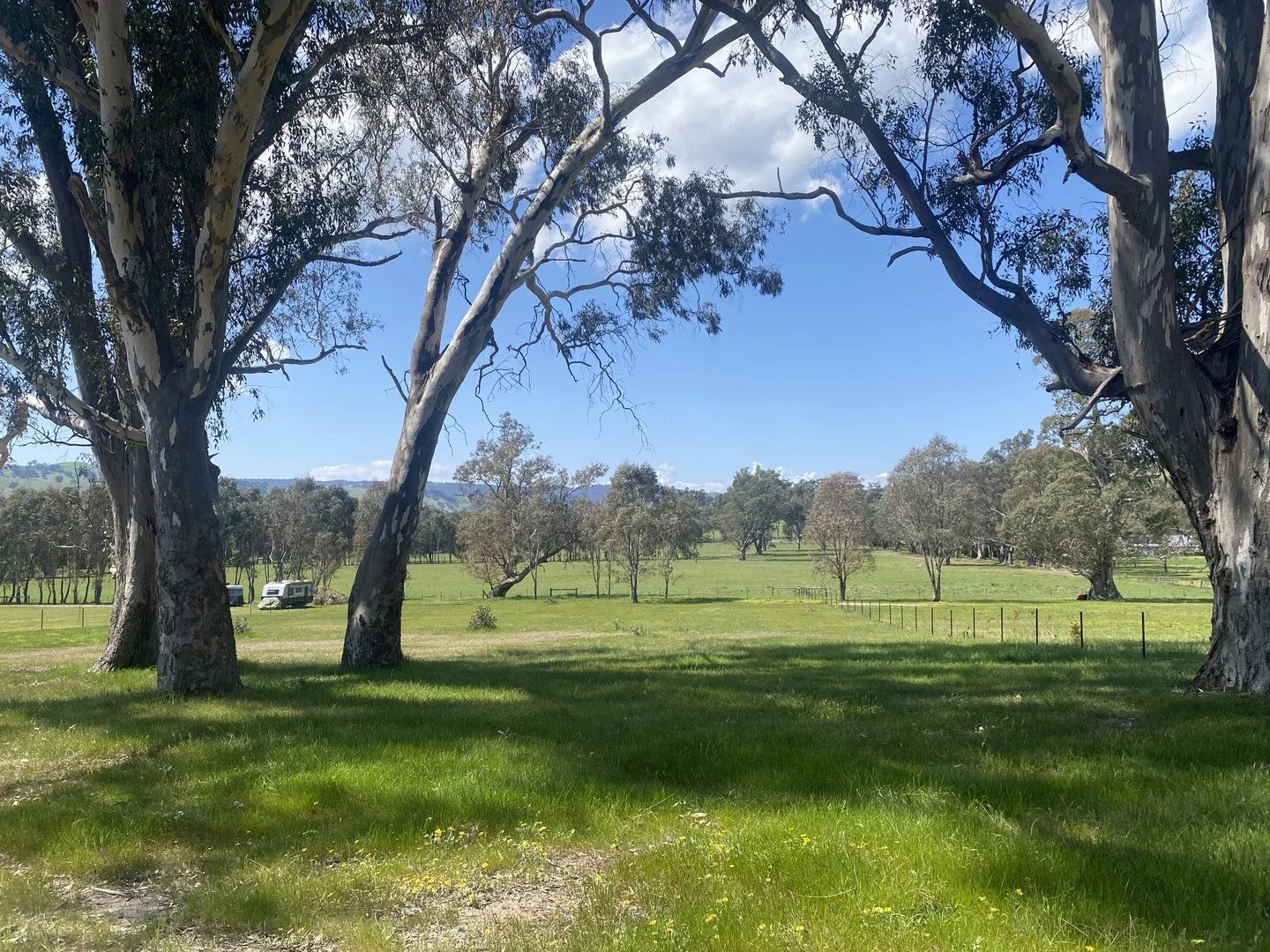 20 Bainbridge Way, Alexandra VIC 3714