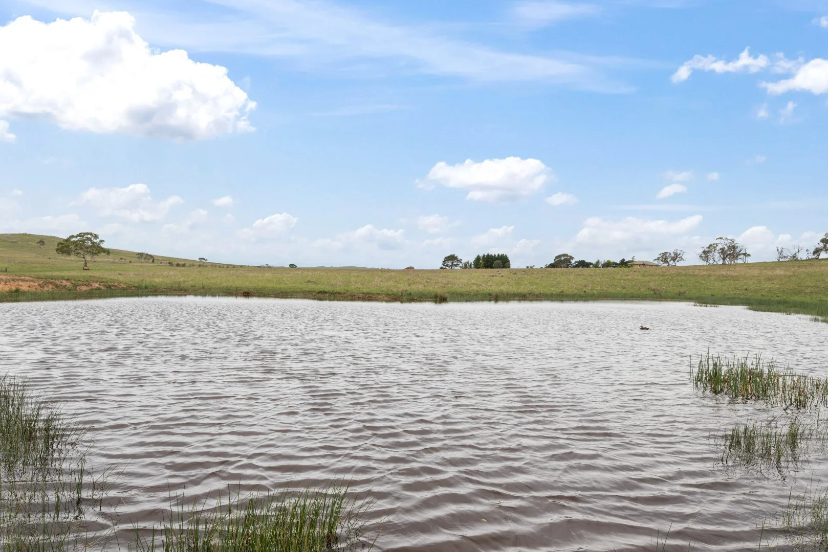 Additional image 23 of 536 Cooma Road, Braidwood NSW 2622