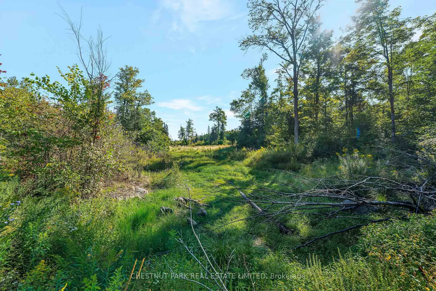 Additional image 17 of 682 Felbers Road