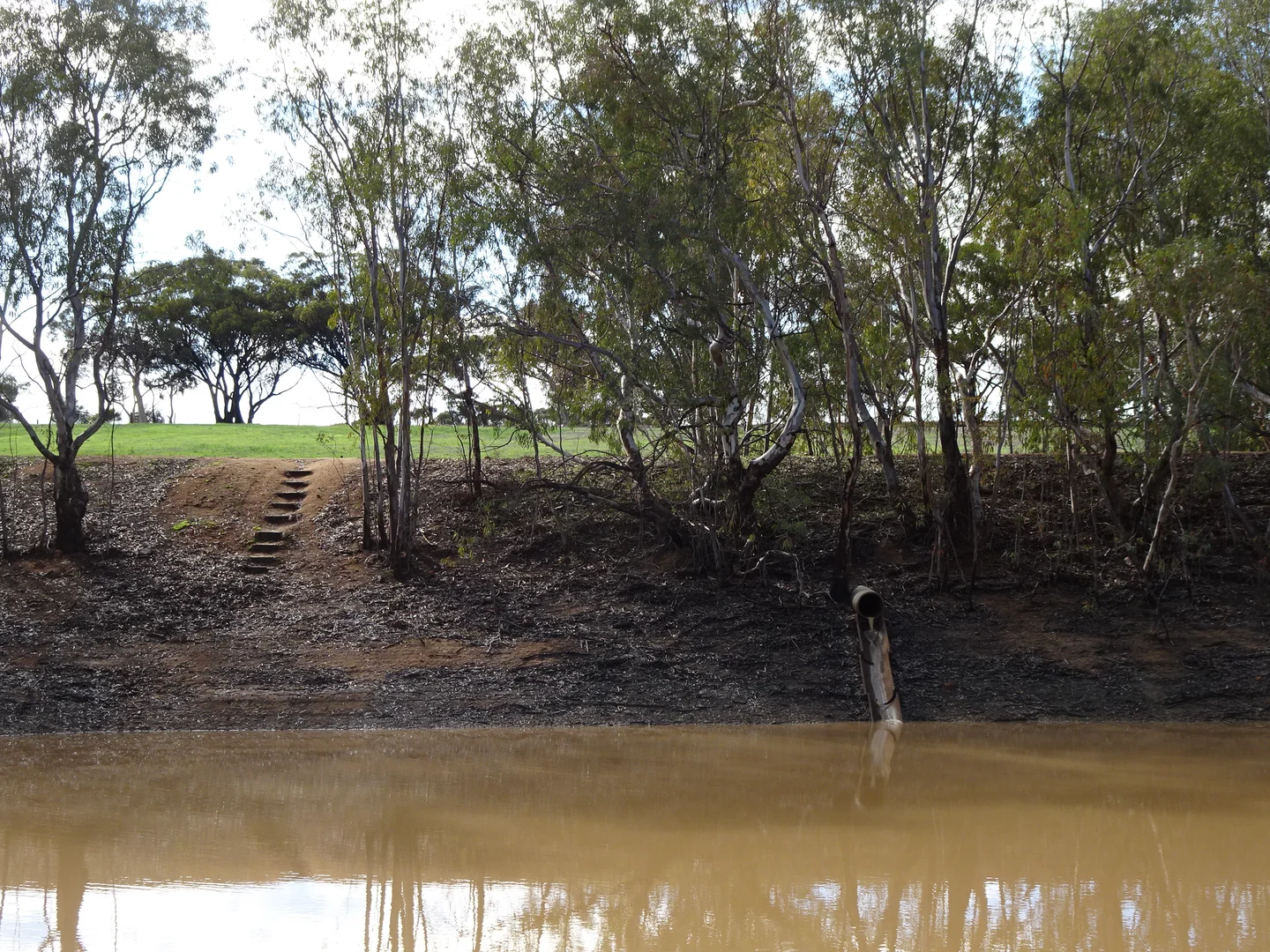 Additional image 8 of Shaddick Road, East Pingelly WA 6308