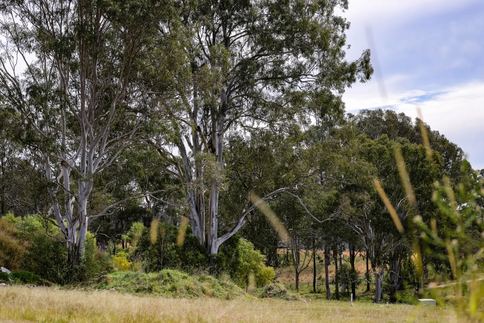 Additional image 4 of 10 Melinga Place, Taree NSW 2430