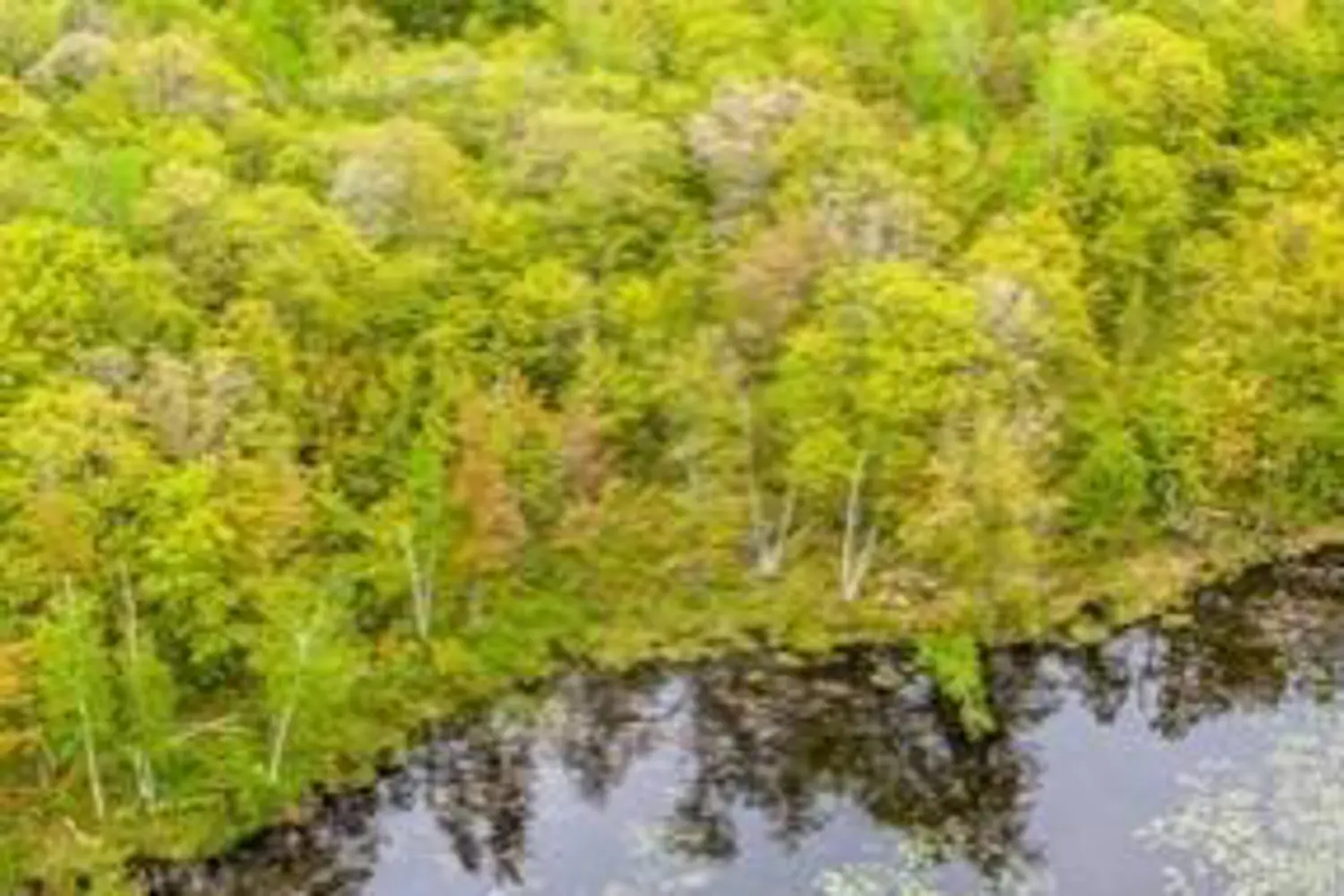 Additional image 4 of 3600 Narrows Road Unit #Lot 12