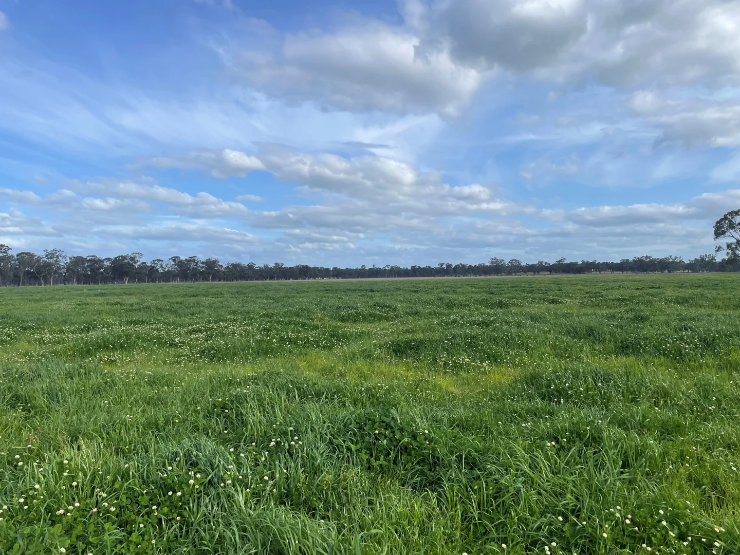 Additional image 4 of Lot 2 & Lot 1, PS 72 Basin Road, Tarnook VIC 3670