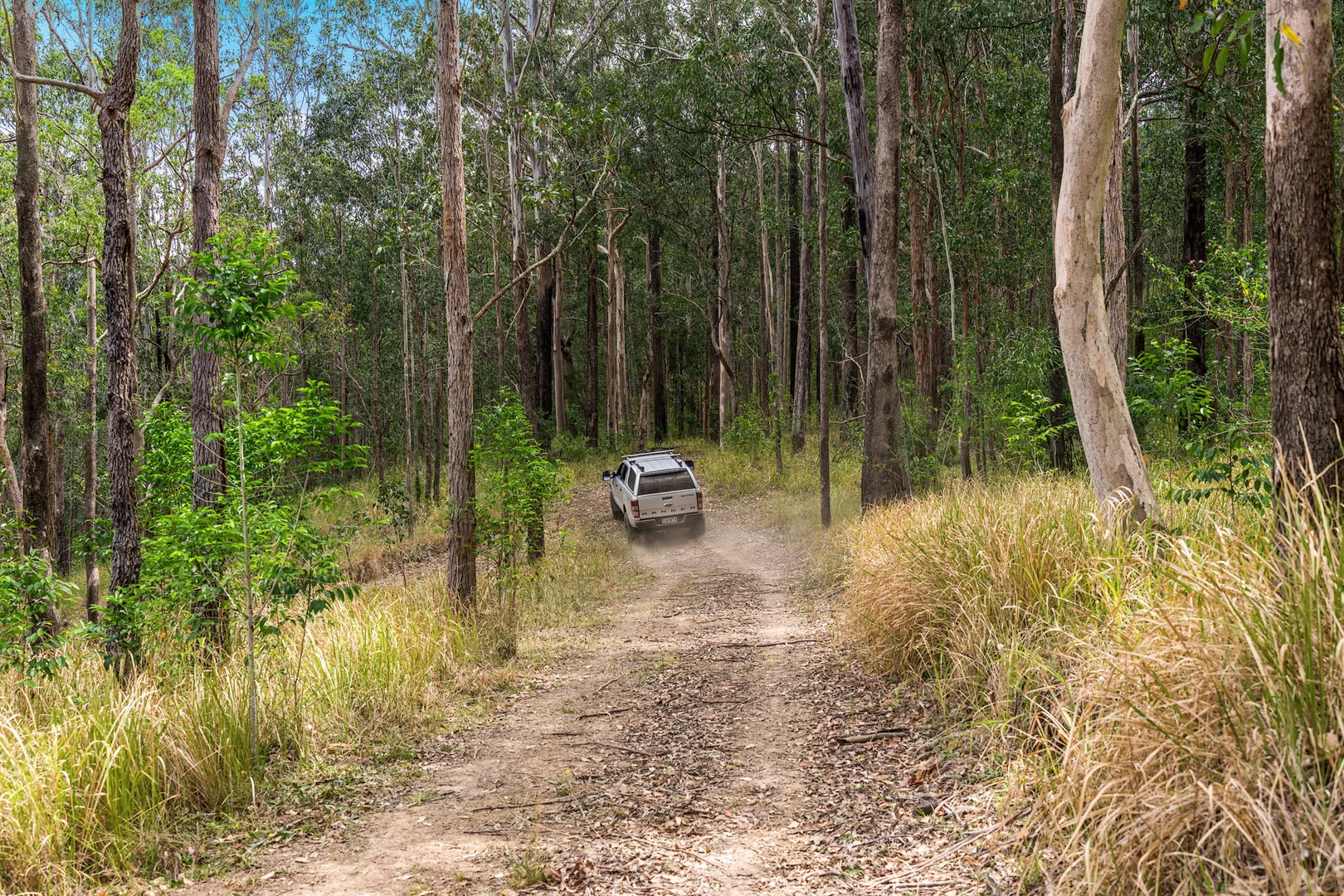 Additional image 19 of 497 Yabbra Road, Yabbra NSW 2469