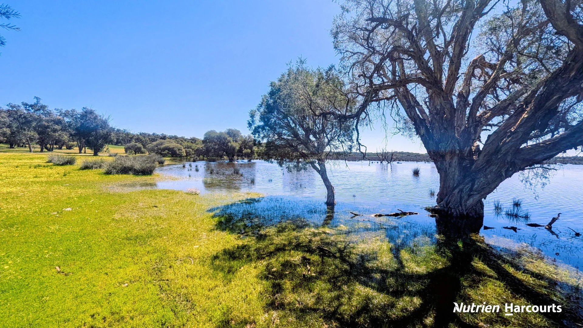 Additional image 9 of Lot 52 Cowalla Road, Cowalla WA 6503