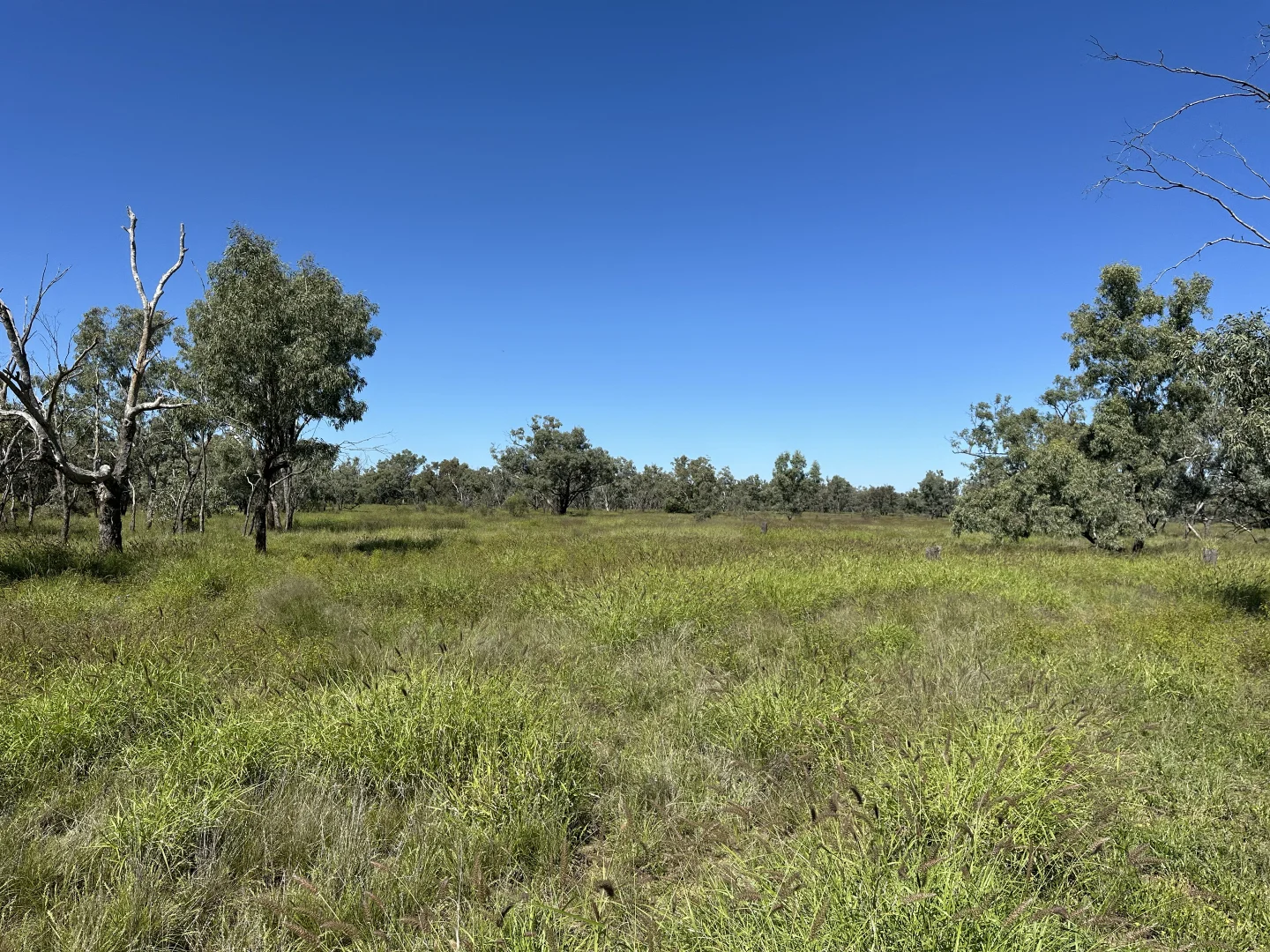 Additional image 28 of 0 Old Cunnamulla Road, Charleville QLD 4470