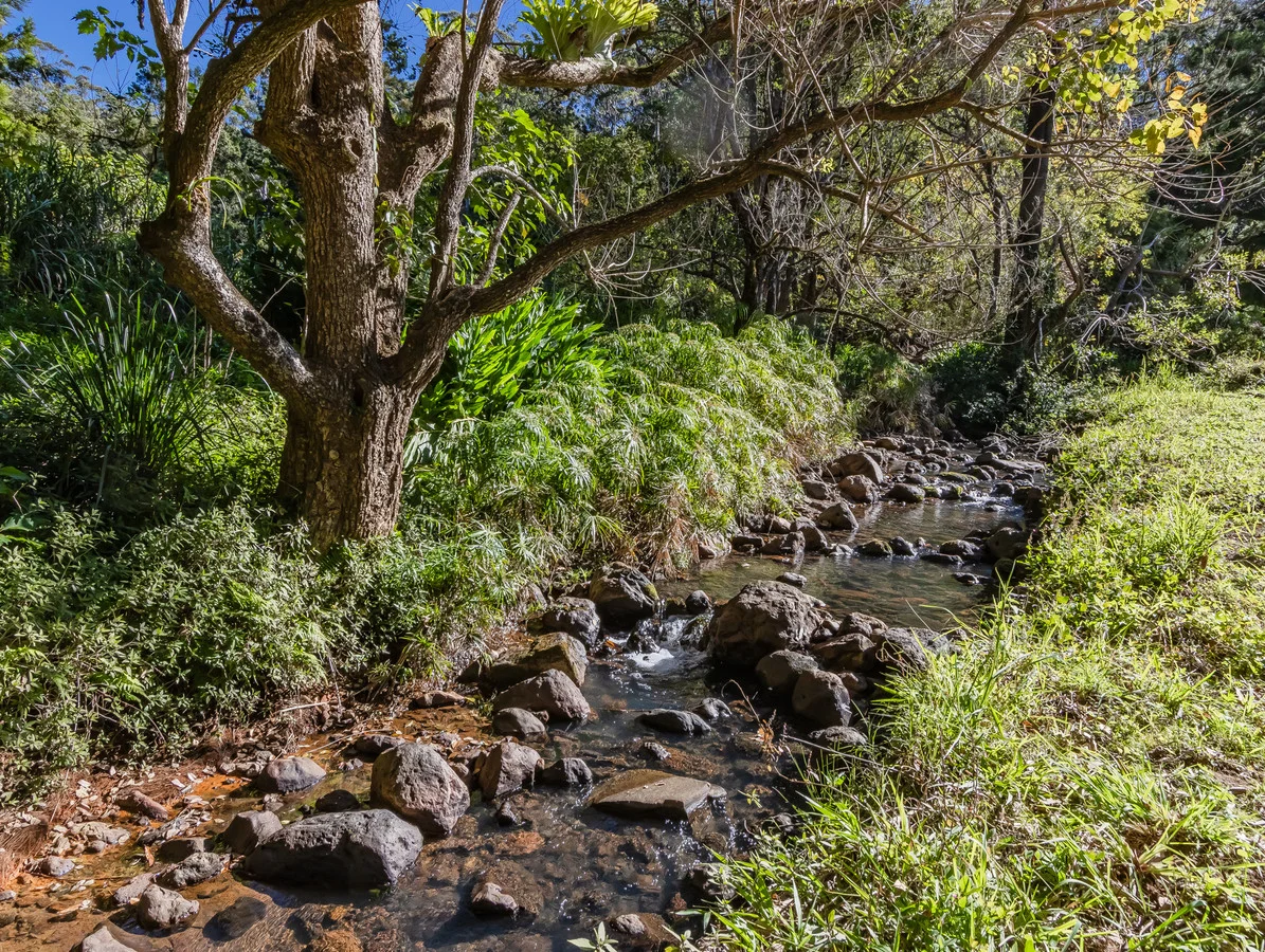 Additional image 20 of 175 Midginbil Road, Midginbil NSW 2484