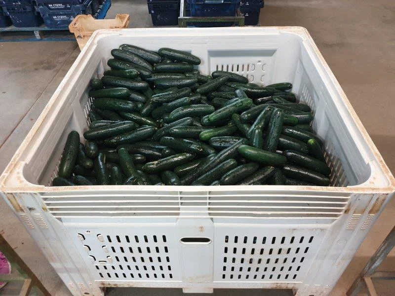 Additional image 12 of 138 North River Road, North Plantations WA 6701