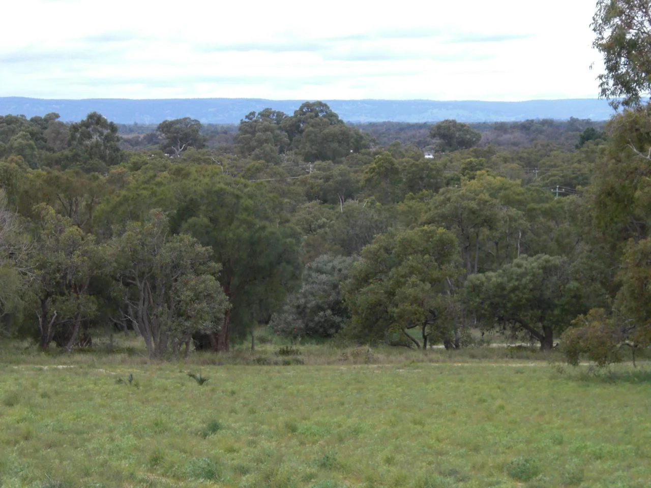 Additional image 14 of Lot 472 Mallee Drive, Karnup WA 6176