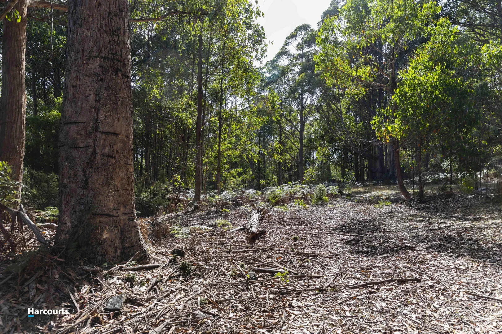 Additional image 7 of RA Basin Road, Grove TAS 7109