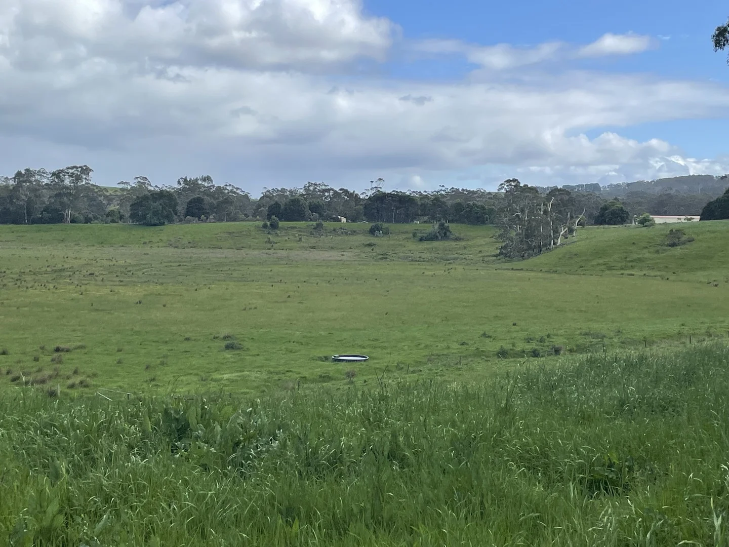 3554 Lavers Hill - Cobden Road, Kennedys Creek VIC 3239