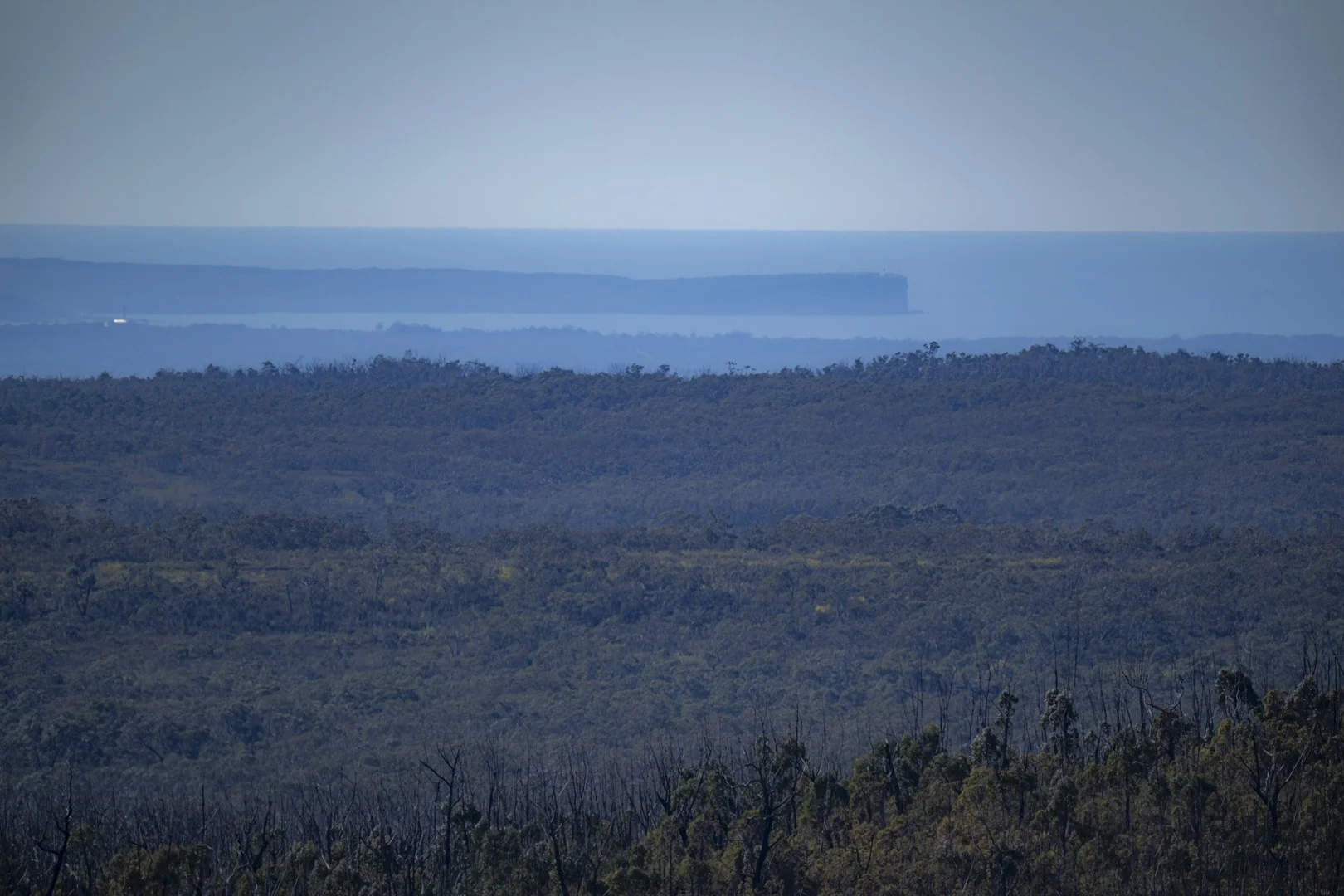 Additional image 8 of Lot 4 Braidwood Road, Sassafras NSW 2622