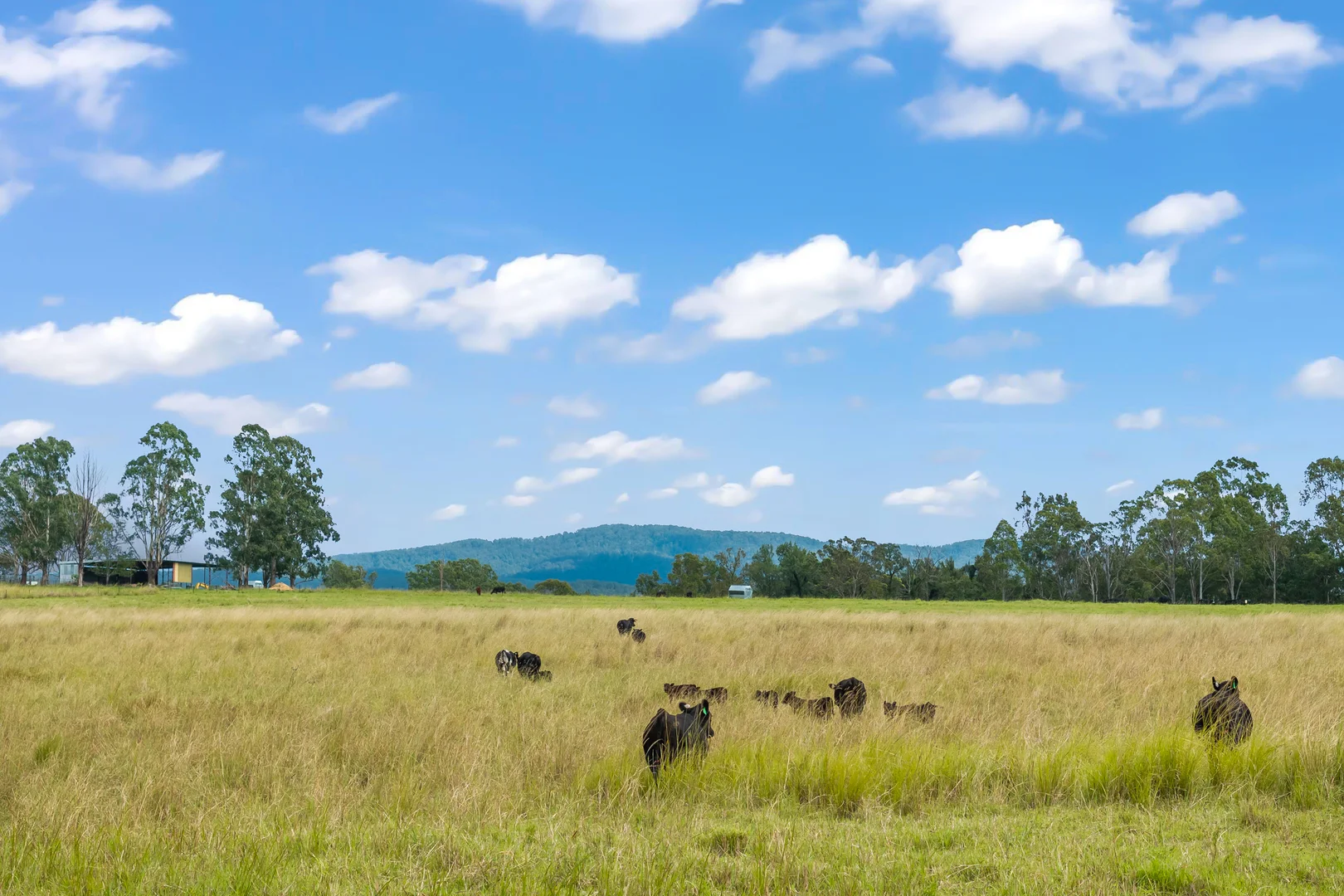 Additional image 14 of 771 Ewingar Road, Ewingar NSW 2469