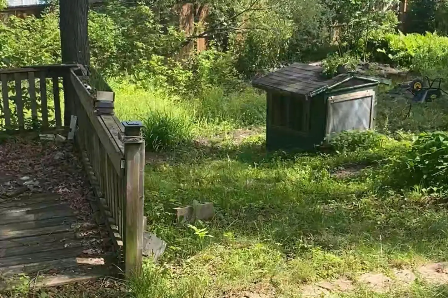 Additional image 12 of 16 Cora Street