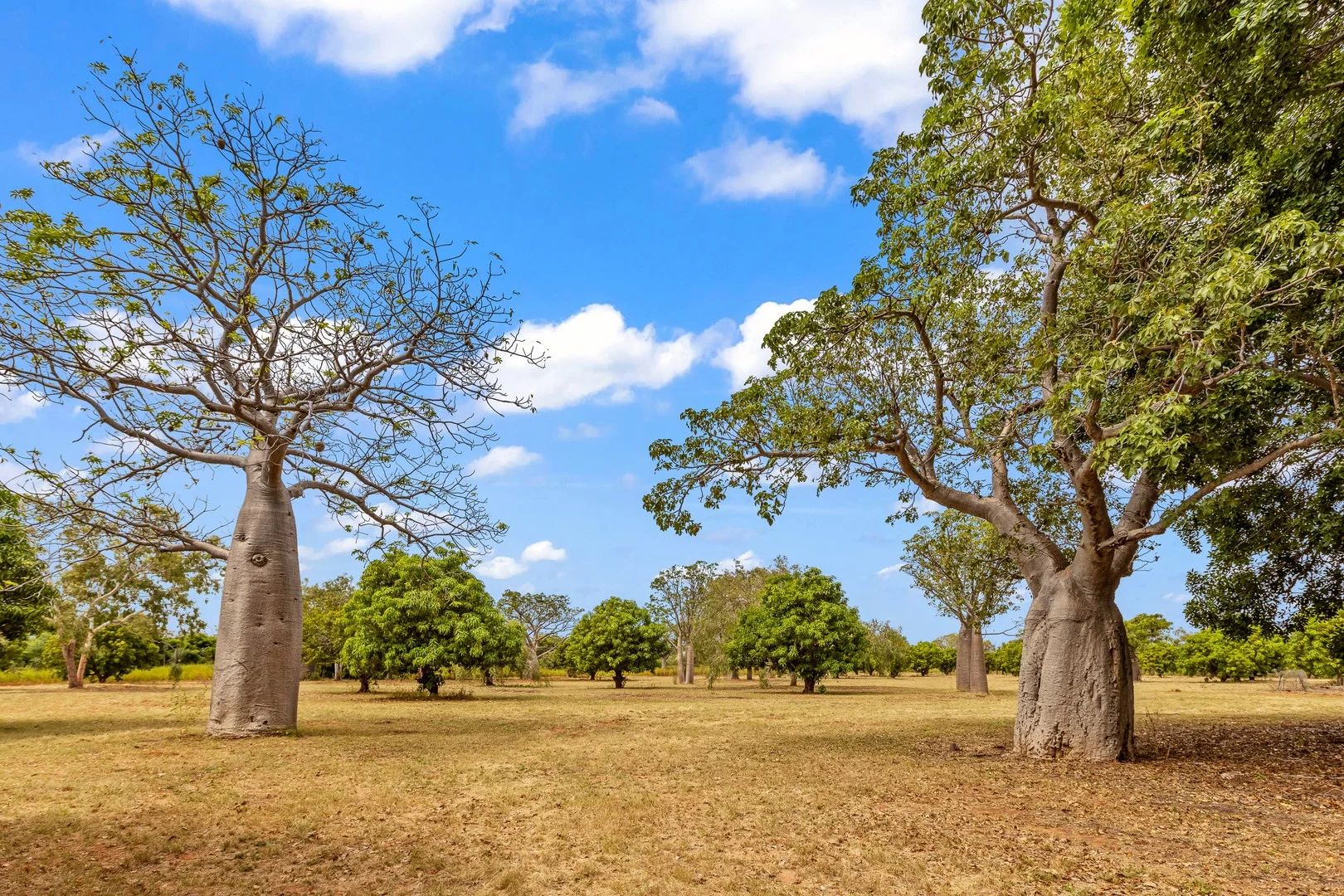 Additional image 5 of 9 Wright Street, Derby WA 6728