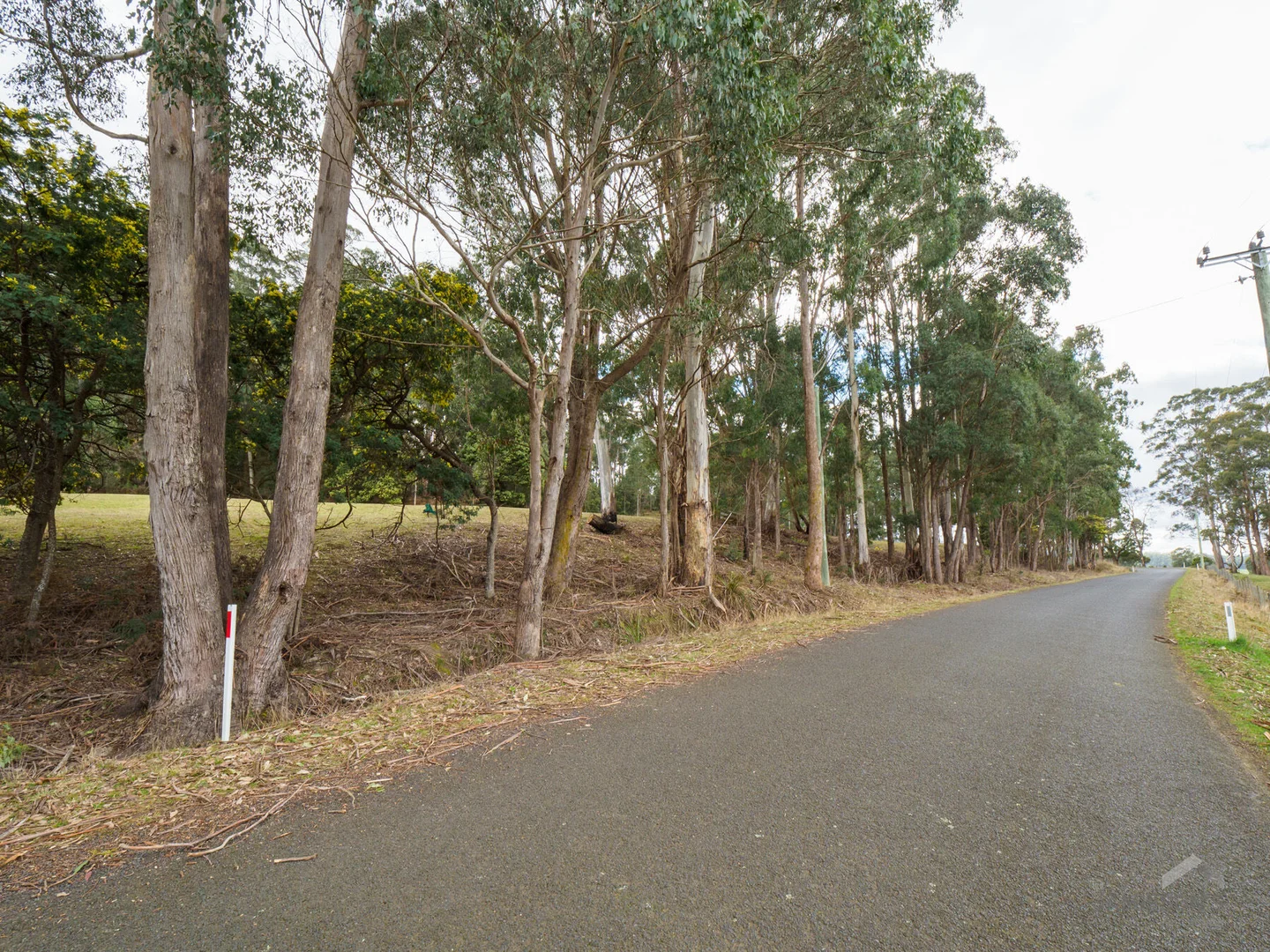 Additional image 15 of 493 Weetah Road, Weetah TAS 7304