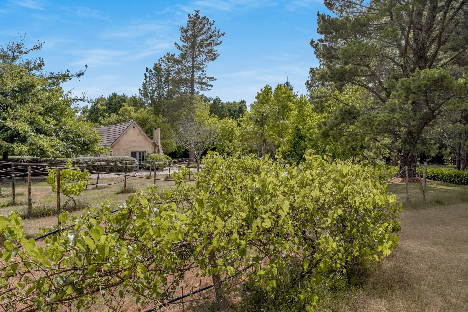 Additional image 17 of 560 Oxleys Hill Road, Berrima NSW 2577