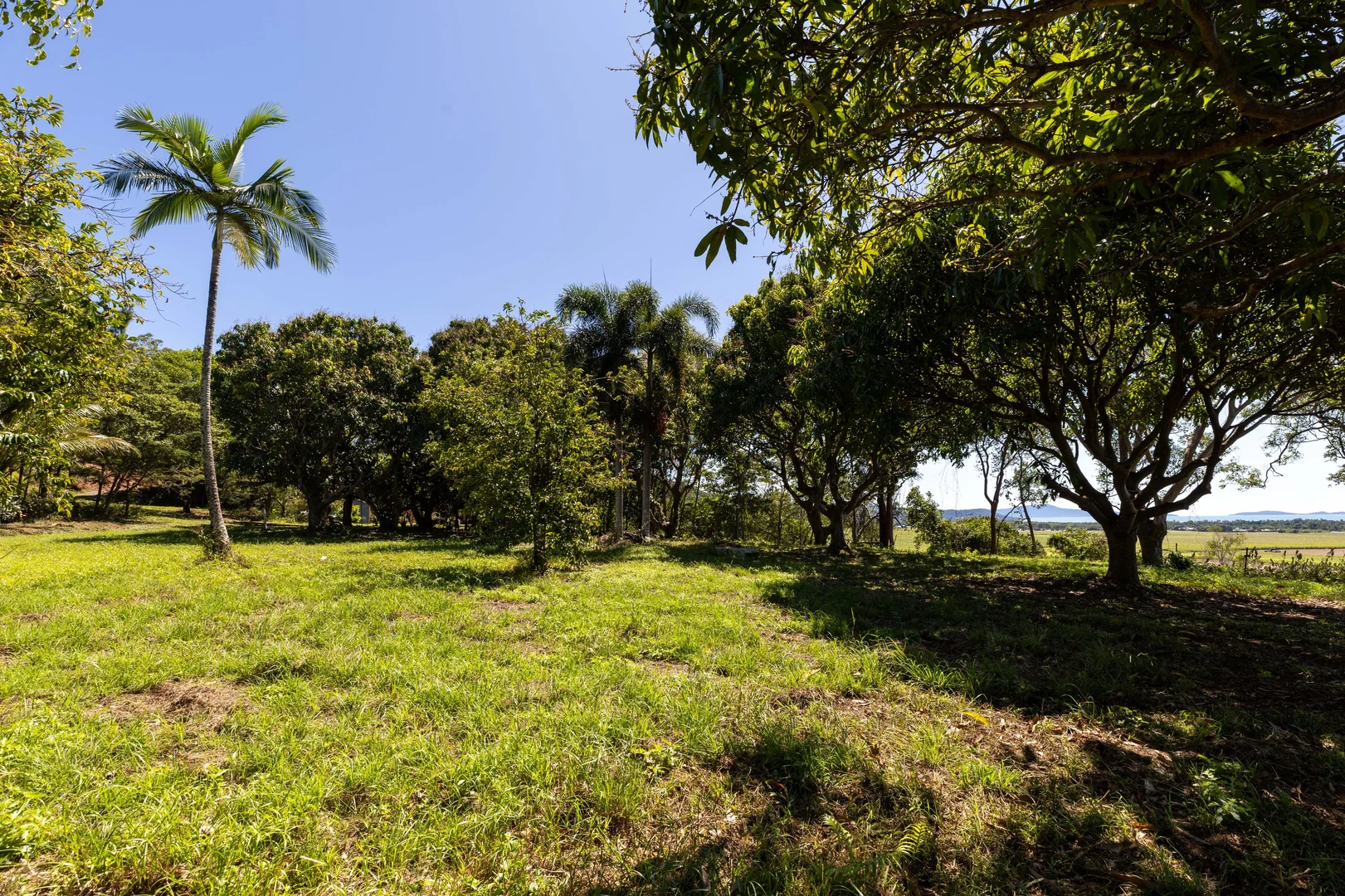 Additional image 24 of 93 Santarossa Road, Cooya Beach QLD 4873