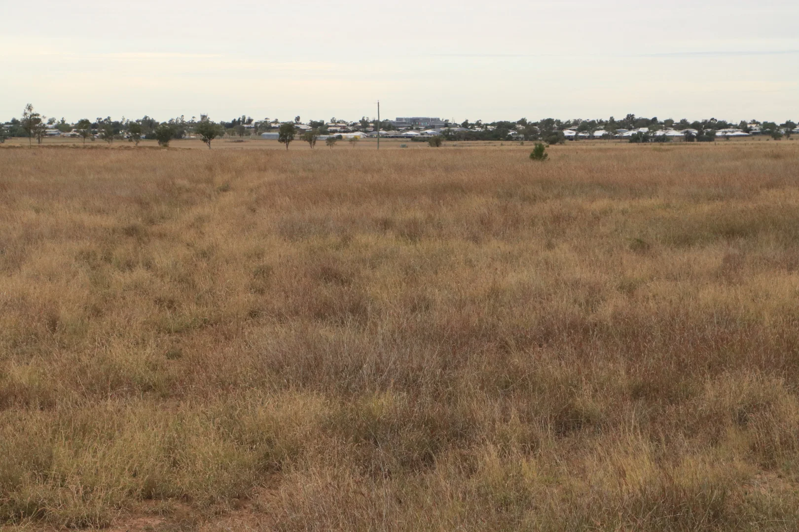 Additional image 10 of Ona Ona Road, Roma QLD 4455