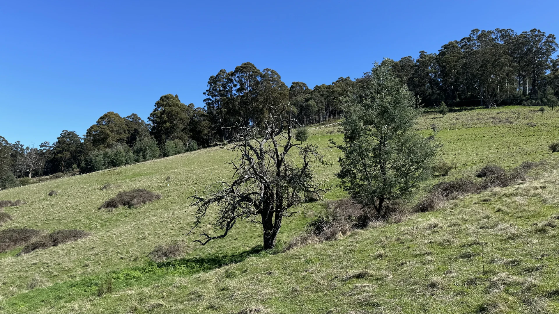 Additional image 19 of Lot 1 Walpole Lane, Franklin TAS 7113