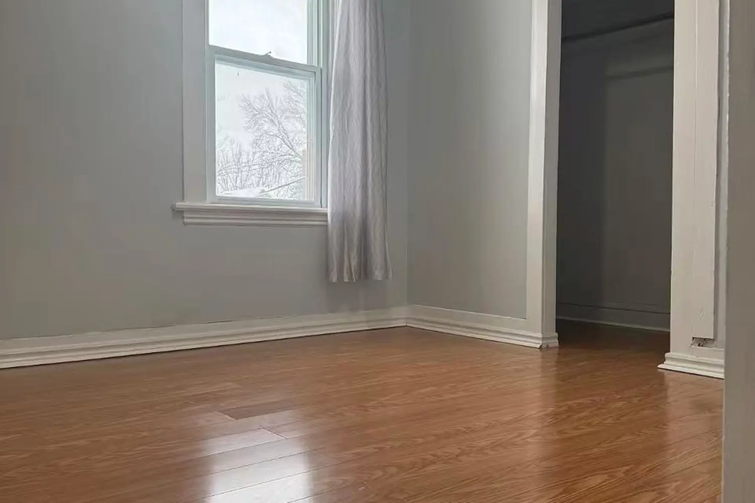 Additional image 20 of 109 Elgin Street