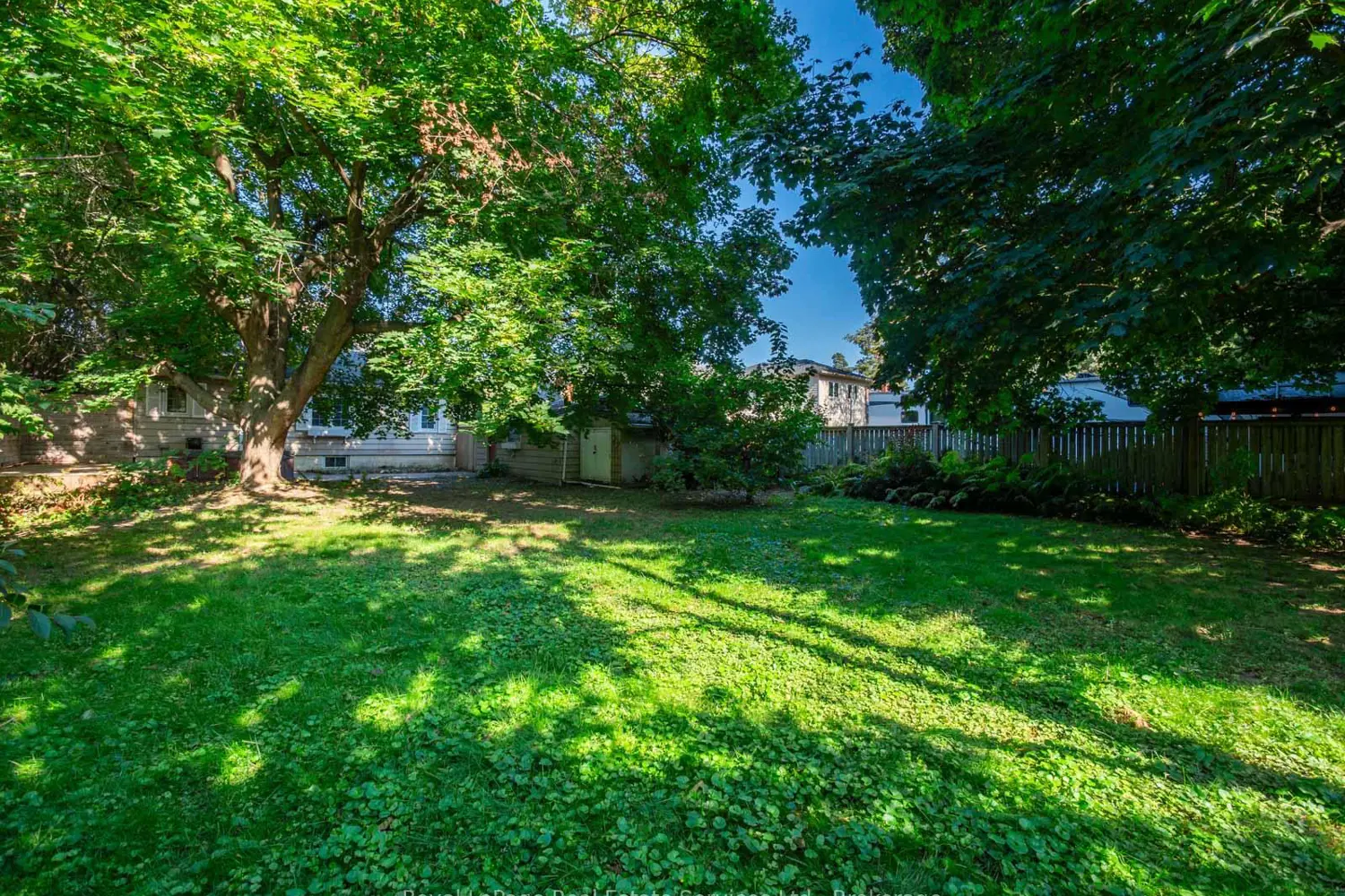 Additional image 19 of 938 King Road