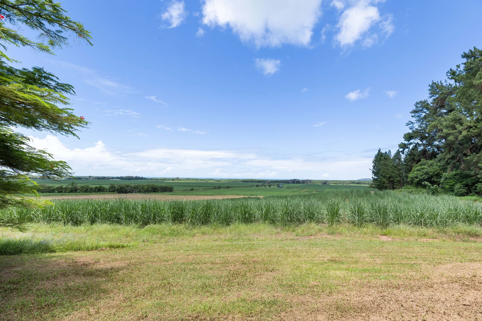 Additional image 34 of 93 Santarossa Road, Cooya Beach QLD 4873