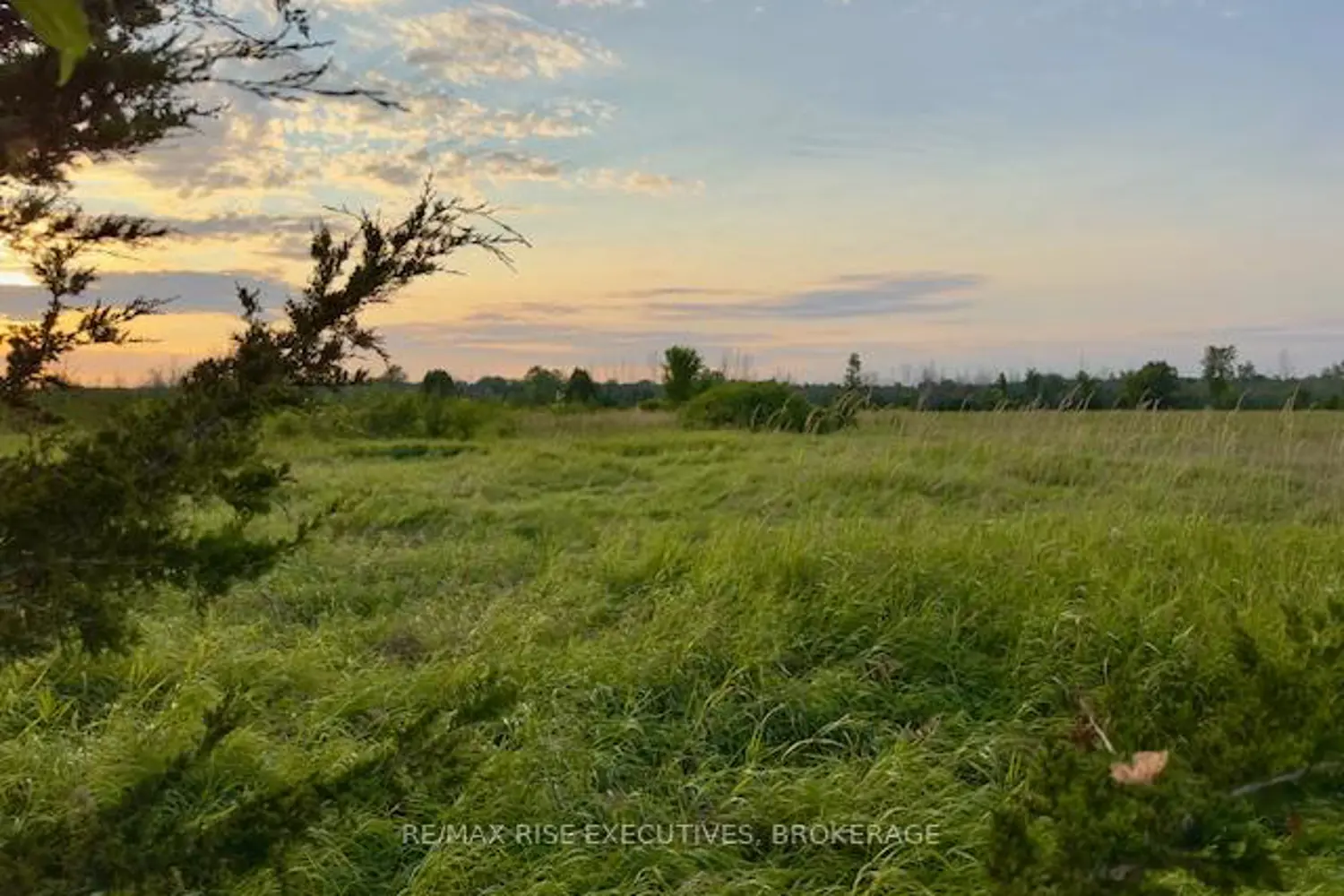 Additional image 6 of 3878 County Rd 8