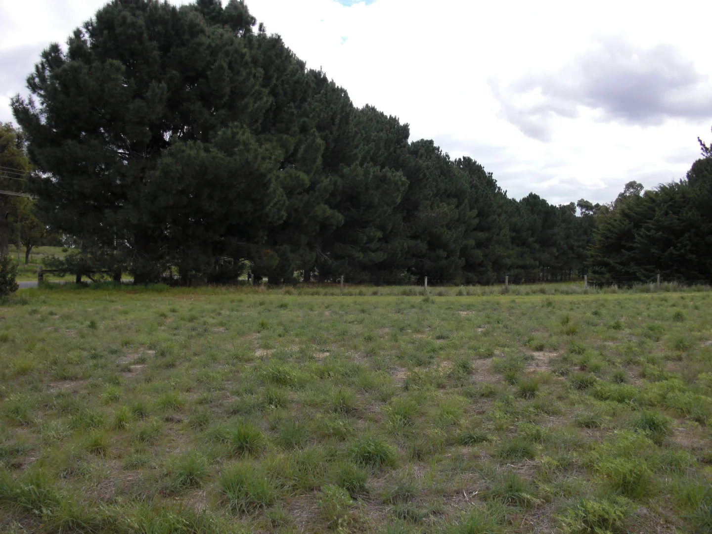 Additional image 4 of Lot 472 Mallee Drive, Karnup WA 6176