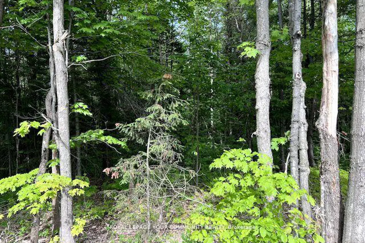 Additional image 8 of N/A Uffington Road