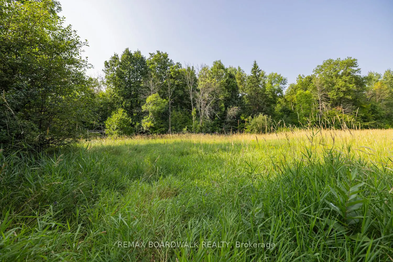 Additional image 7 of 752 Bennett Lake Road