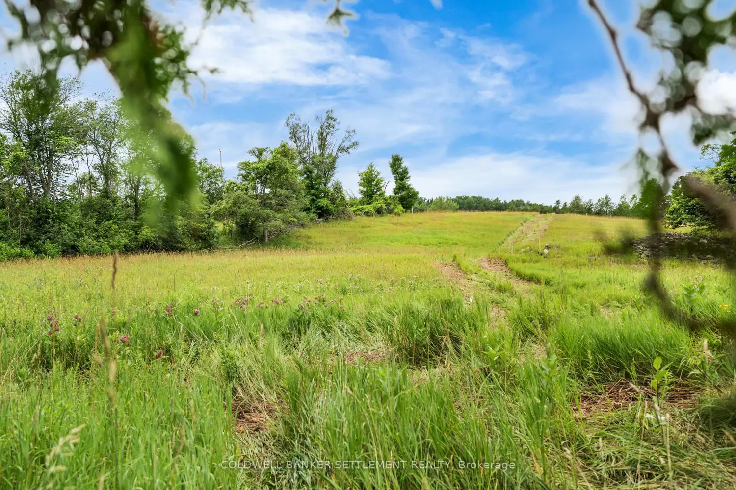 Additional image 8 of Pt 3 Mitchell Road